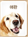 Pet Supplies